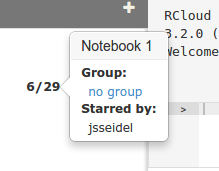 Notebook Protection Dialog: Group Information