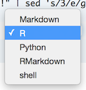 Prompt or Markdown Cell Selection